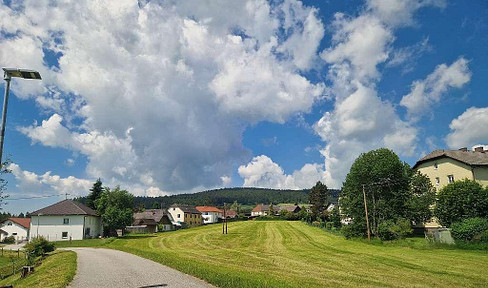 Private sale of individual and semi-detached house plots in a central location!