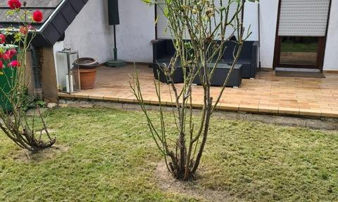 Maisonette-Wohnung + Garten