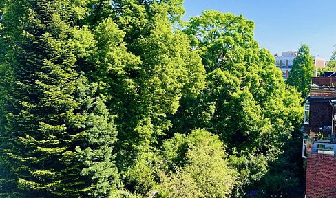 Bright apartment in a renovated older building with a balcony overlooking a green courtyard; only two units in the building.
