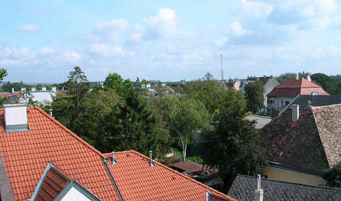 Traumblick nach Greifenstein von Loggiawohnung mit Garage im Herzen von Stockerau