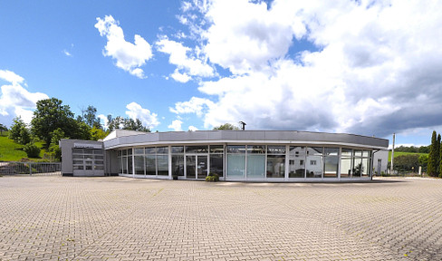 Commercial property/car dealership (with a separate apartment of 138 m²).
