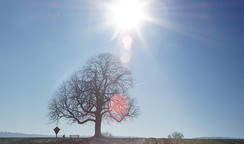 Architect-designed house in a scenic, south-facing location – construction to begin shortly.