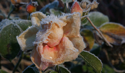 Architect-designed house in a scenic, south-facing location – construction to begin shortly.