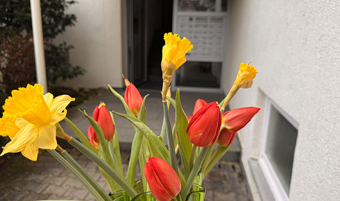 ERSTBEZUG| Tipptopp frisch renovierte 3  1/2 ZWG im Grünen mit Aussicht |TG und Aufzug