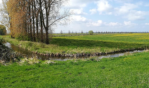 Grünland / Acker und Bauland direkt an der Elbe