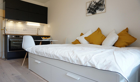 Freshly renovated 1-room apartment, available for rent directly from the owner.