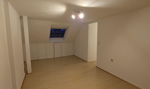 Apartment in the attic of Schloss Jägerhof, with elevator access. Bathroom is not located within the apartment itself.