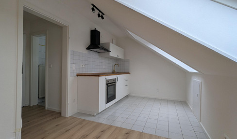 Lichtdurchflutetes 1-Zimmer-DG-Apartment im modernen schwedischen Stil