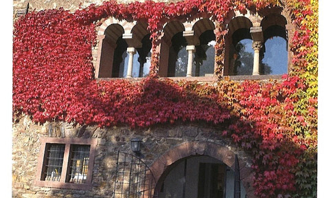 Das Graue Haus - Rheingau - Oestrich-Winkel - Restaurant oder Wohnhaus