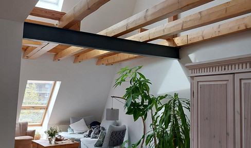 Bright maisonette apartment with a rooftop terrace in the city center.