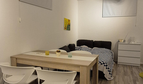 Basement apartment with amenities – including a kitchen and shower.