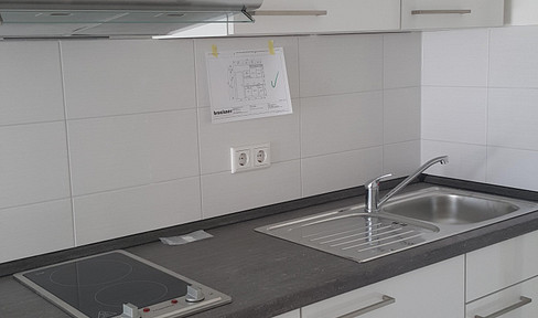 Möbliertes 1 Zi. Appartement mit Dachterrasse