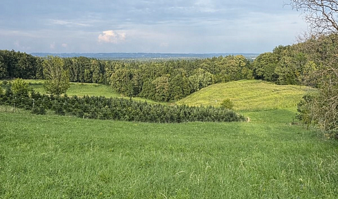 Idyllic plot of land with unobstructed, far-reaching views.