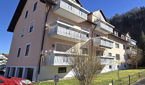 Living near the Neckar River: Stylishly renovated 2.5-room apartment with a balcony and garage.