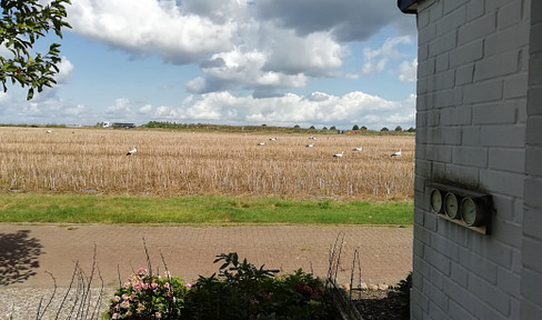 No fees! Family-friendly terraced house, suitable as a bungalow, located on the edge of a field, and almost barrier-free.