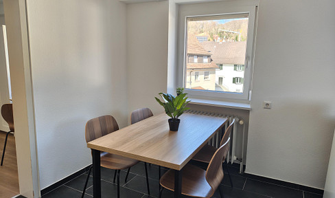 Completely renovated, bright 2-room apartment in Grenzach-Wyhlen.
