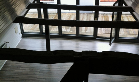 City apartment: Pedestrian zone location, rooftop terrace, and parking option available.