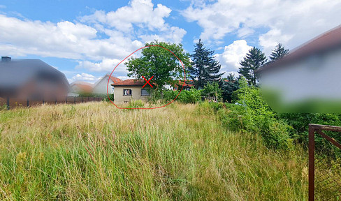 Land for sale in a prime location in Dallgow-Döberitz.