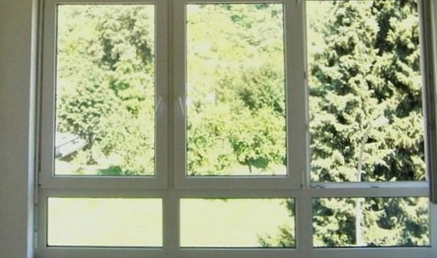 Penthousefeeeling  LUXUSPUR  ZUM WOHLFÜHLEN 5-Zi übers DG an max. 4 Personen Nichtr. zum 01.04.26