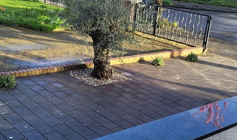 EFH mit 180m2 (Wf+Nf) saniert und vollmöbliert mit Garten, Pool und Partyraum