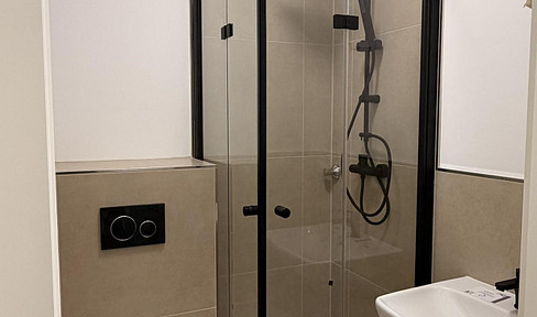 Well-connected and newly renovated 2-room apartment in Wuppertal.