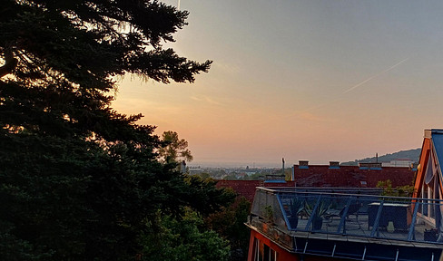 Private sale: Spacious, bright 4-room apartment located at the foot of the Anninger hill in Mödling.