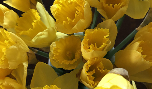 Welcome to our spacious maisonette apartment, featuring 4-5 rooms and a double garage.