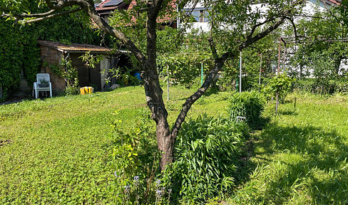 Baugrundstück mit traumhaftem Garten mitten in Grenzach-Wyhlen