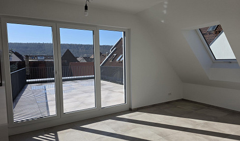 Erstbezug: Moderne 2,5-Zi.-Wohnung mit Dachterrasse in Eberstadt