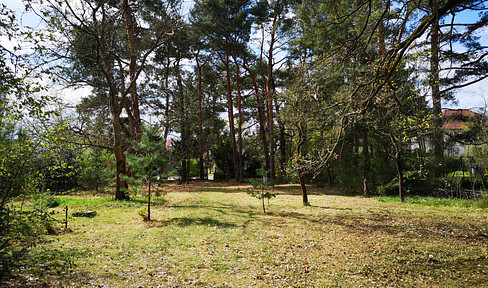 For sale by owner: A spacious plot of land – not just for dreaming, but for building!