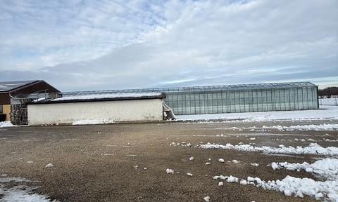 Gärtnerei in Burgau zu verkaufen oder vermieten