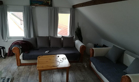 Charming and completely renovated apartment.