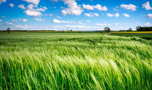 Landwirtschaftliche Grundstücke & Waldflächen in Leidersbach – jetzt paketweise kaufen