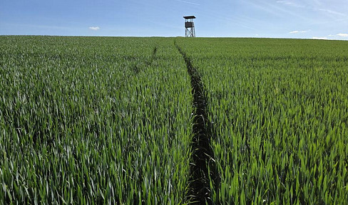 Landwirtschaftliche Ackerflächen in Leidersbach – provisionsfrei direkt vom Eigentümer