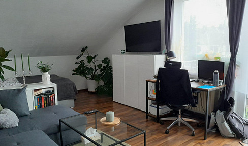 Quiet, renovated attic apartment in a green area, partially furnished, with a large balcony.