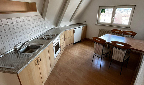 Bright 2-room apartment with a spacious living/dining area.