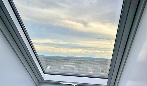 Bright 3-room attic apartment – new kitchen, modern Velux windows.