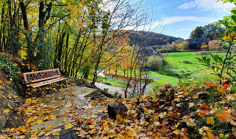Gemütliche helle 3 Zimmer Wohnung