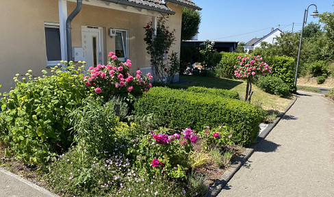 Detached single-family house in a beautiful natural setting, near Koblenz.
