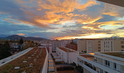 Freiburg im Breisgau: The fitted kitchen is already installed – all you need to do is move in!