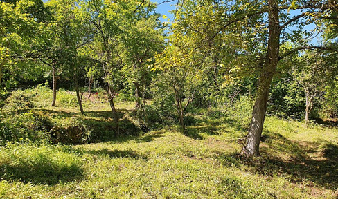 Garden plot in the Wangen district of Stuttgart.