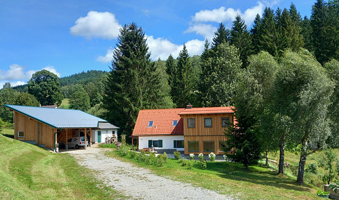 Dreamlike natural retreat in the forest region.
