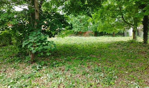 Building plot in Potsdam-Bornstedt, in a very quiet location, close to Sanssouci Park and the Crown Estate.