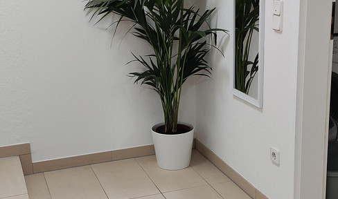 Well-maintained 2-room ground-floor apartment with a terrace in Odenthal.