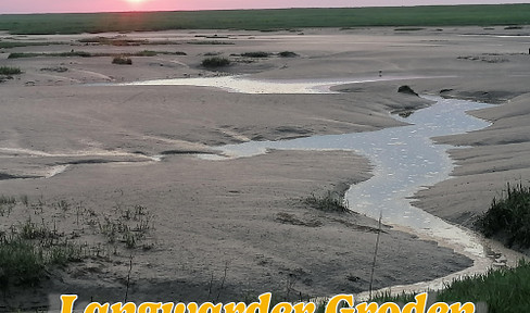 North Sea air, a high-return, multi-generational house perfect for a large family and friends, with photovoltaic panels.