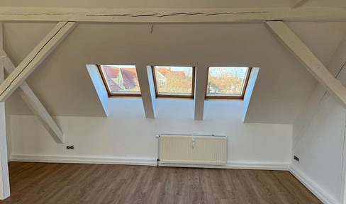 Newly renovated 2-room apartment in the attic, located in Forst (Lausitz).