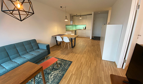 Helle Räume - Dachterrasse - auf Wunsch möbliert - ab SOFORT beziehbar - 1120 Wien - Zeleborgasse -