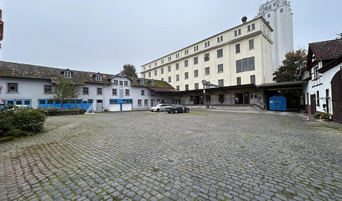 Historisches Mühlenanwesen mit Nebengebäuden im Ortskern von Niddatal - Assenheim