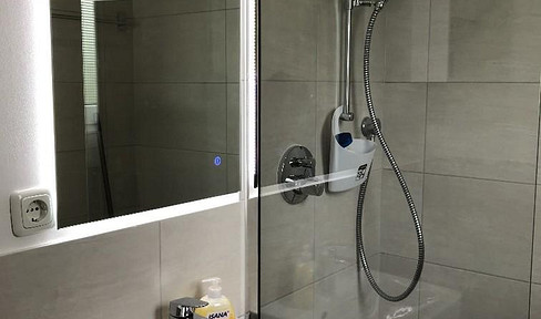 Ideal for commuters: Fully furnished, comfortable 1-room apartment, no pets allowed, Wi-Fi included.