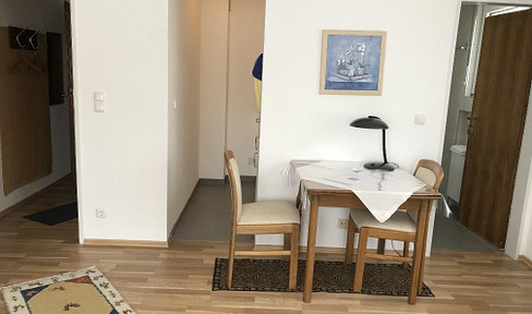 Ideal for commuters: Fully furnished, comfortable 1-room apartment, no pets allowed, Wi-Fi included.